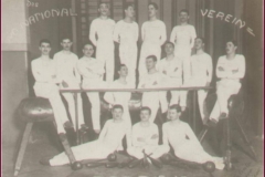 Des International Turn-Riege Verein Sarajevo